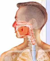 慢性咽炎的诊断