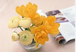 白癜风患者怎么做好护理工作